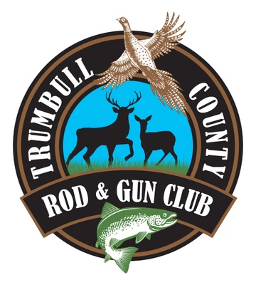 rod trumbull